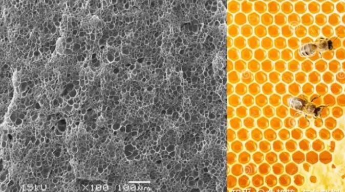 epp發泡聚丙烯的顯微結構，可以看到這是種連續閉孔結構，類似于蜂窩